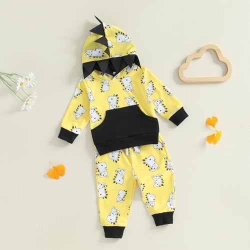 Infant Baby Boy Fall Winter Clothes Outfit Hooded Long Sweatshirt Pant Set - Image 5