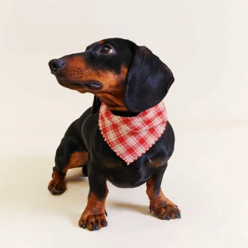 Double Layers Two Tones Dog Cotton Bandana Bibs Scarf DCB10 R&W - Image 7
