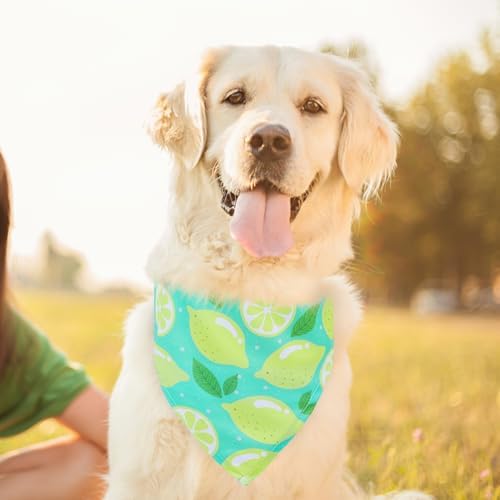 EXPAWLORER Dog Cooling Bandana - Image 7