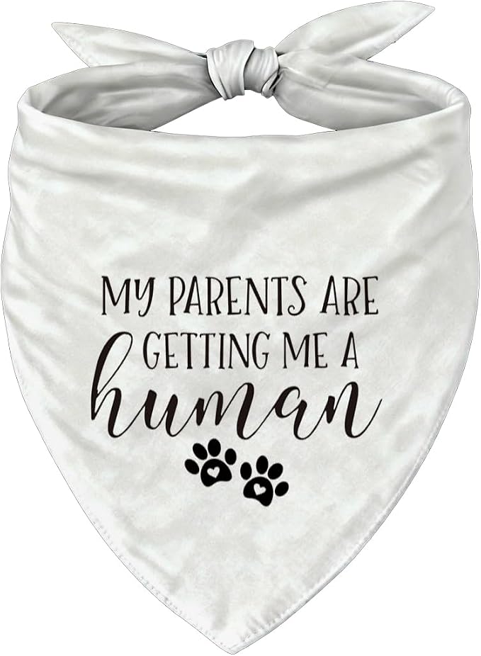 Pregnancy Announcement Dog Bandana, Cute Pregnancy Announcement Outfit by Unknown