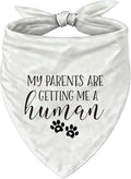 Pregnancy Announcement Dog Bandana, Cute Pregnancy Announcement Outfit by Unknown
