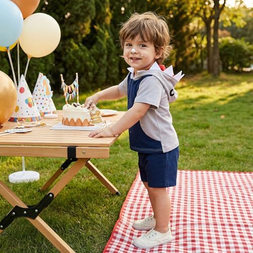 Toddler Baby Boy Hooded Dinosaur Summer Outfit Funny T-Shirt Shorts Set - Image 3