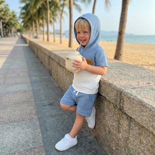 Toddler Baby Boy Hooded Dinosaur Summer Outfit Funny T-Shirt Shorts Set - Image 7