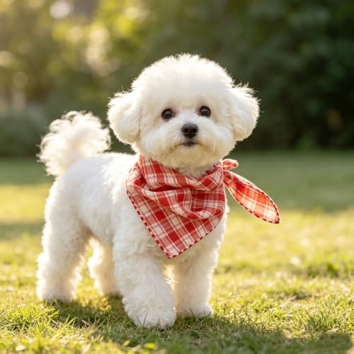 Double Layers Two Tones Dog Cotton Bandana Bibs Scarf DCB10 R&W - Image 2