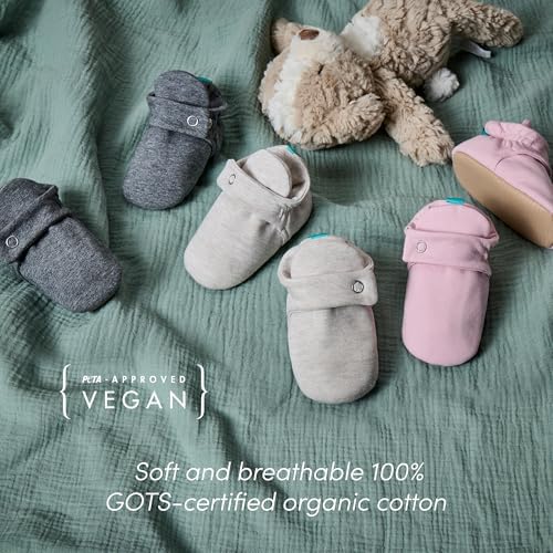 Ten Little Everyday Baby Booties - Image 4
