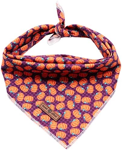 Lionet Paws Halloween Dog Bandana by lionetpaws