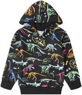 RETSUGO Baby Boys Dinosaurs Hoodie Boy Girls Truck Pullover by RETSUGO