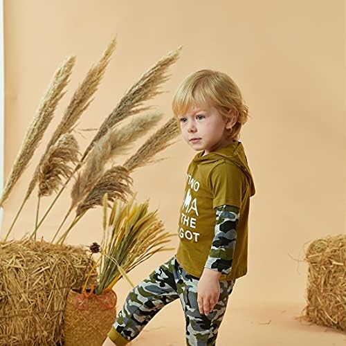 Aalizzwell Toddler Infant Baby Boys Hoodie Sweatshirt Pants Outfits Spring - Image 2
