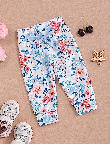 oklady Baby Girl Clothes, Hoodie Tops Floral Pant - Image 5