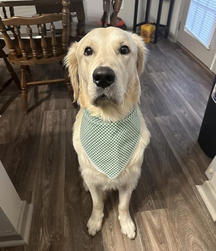 Lionet Paws Dog Bandana for Small Medium Large Dogs, Cat Dogs Kerchief Triangle - Image 2