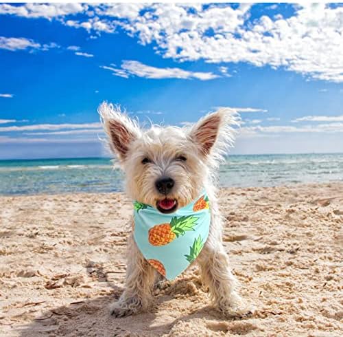 EXPAWLORER Dog Cooling Bandana - Image 7