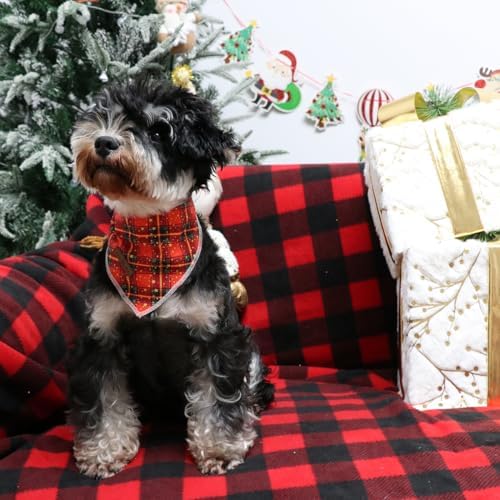 Lionet Paws Christmas Dog Bandana - Image 4