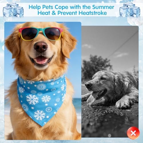 EXPAWLORER Dog Cooling Bandana - Image 3