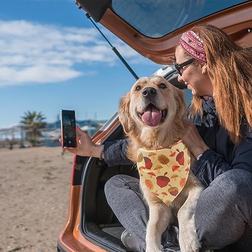EXPAWLORER Fall Dog Bandana Set - Image 7