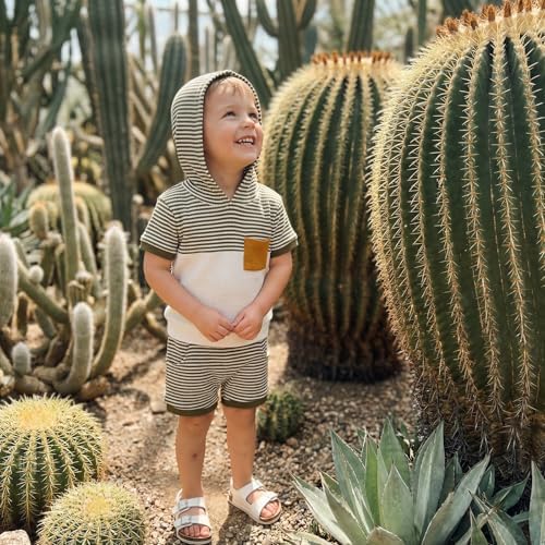 Toddler Baby Boy Hooded Dinosaur Summer Outfit Funny T-Shirt Shorts Set - Image 4
