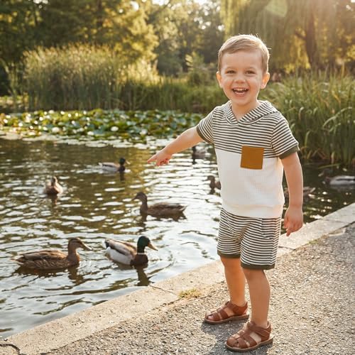 Toddler Baby Boy Hooded Dinosaur Summer Outfit Funny T-Shirt Shorts Set - Image 3