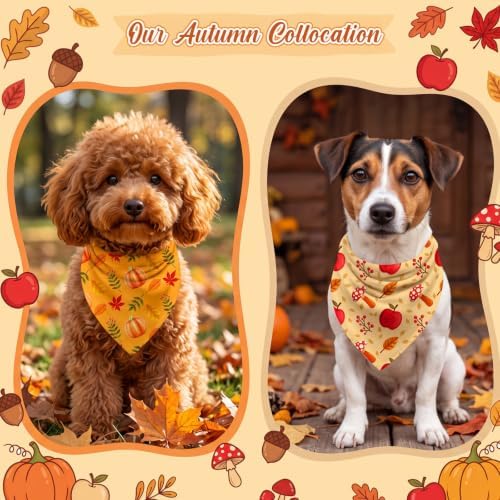 50 Pcs Fall Dog Bandanas Bulk Autumn Pumpkin Maple Leaves Pattern - Image 2