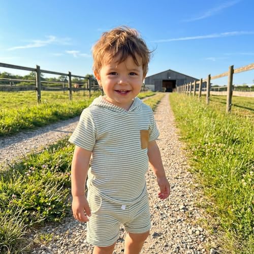Toddler Baby Boy Hooded Dinosaur Summer Outfit Funny T-Shirt Shorts Set - Image 3