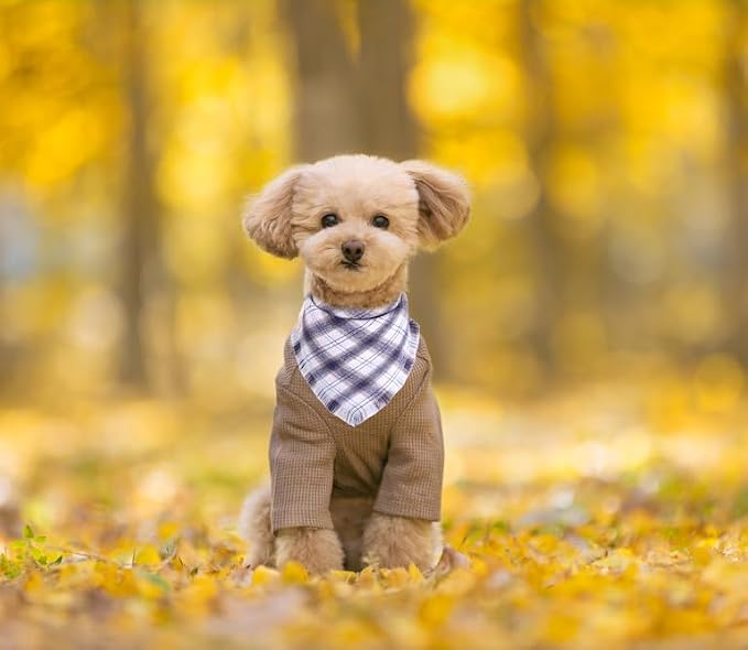 Fall Dog Bandana Autumn Thanksgiving Plaid Reversible Triangle Bibs Scarf - Image 4