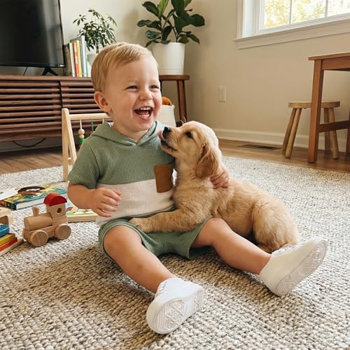 Toddler Baby Boy Hooded Dinosaur Summer Outfit Funny T-Shirt Shorts Set - Image 4