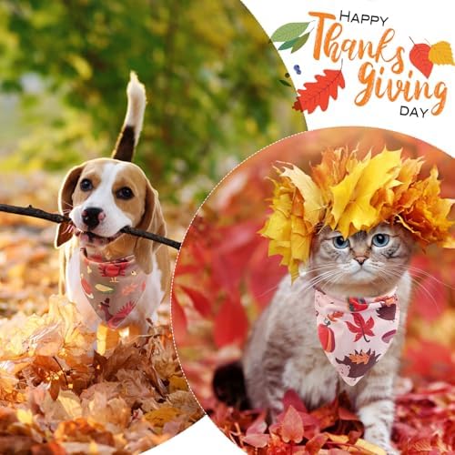 EXPAWLORER Fall Dog Bandana Set - Image 7