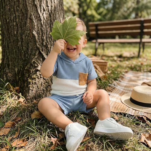 Toddler Baby Boy Hooded Dinosaur Summer Outfit Funny T-Shirt Shorts Set - Image 3