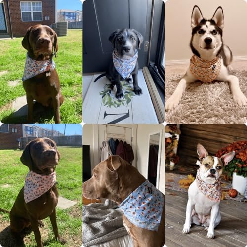 Dog Bandana Spring Cotton XLarge 4PCS - Image 6