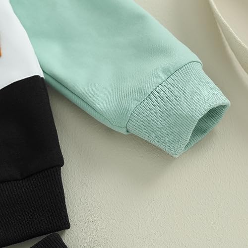 Infant Baby Boy Fall Winter Clothes Outfit Hooded Long Sweatshirt Pant Set - Image 6