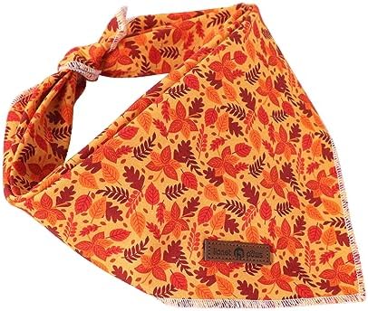Lionet Paws Fall Dog Bandana for Small Medium Large Dogs, Cat Dog Kerchief - Image 3