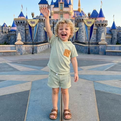 Toddler Baby Boy Hooded Dinosaur Summer Outfit Funny T-Shirt Shorts Set - Image 6