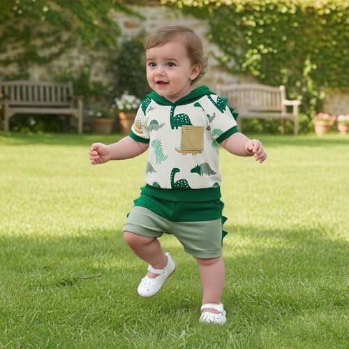 Toddler Baby Boy Hooded Dinosaur Summer Outfit Funny T-Shirt Shorts Set - Image 2