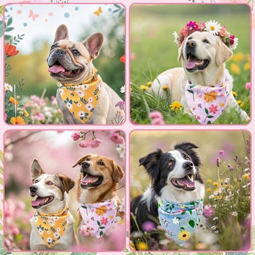 EXPAWLORER Spring Dog Bandanas 4 Pack - Image 6