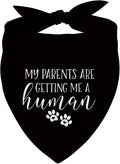 Pregnancy Announcement Dog Bandana, Cute Pregnancy Announcement Outfit by Unknown