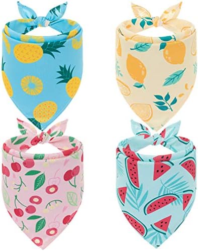 EXPAWLORER Dog Cooling Bandana Set by EXPAWLORER