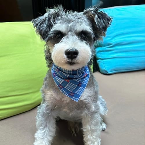Double Layers Two Tones Dog Cotton Bandana Bibs Scarf DCB23 B&W - Image 3