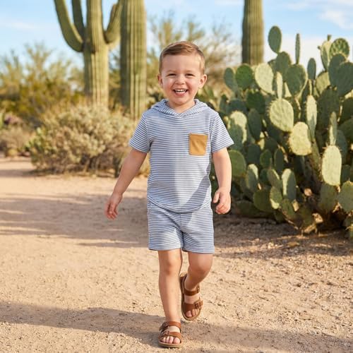 Toddler Baby Boy Hooded Dinosaur Summer Outfit Funny T-Shirt Shorts Set - Image 4