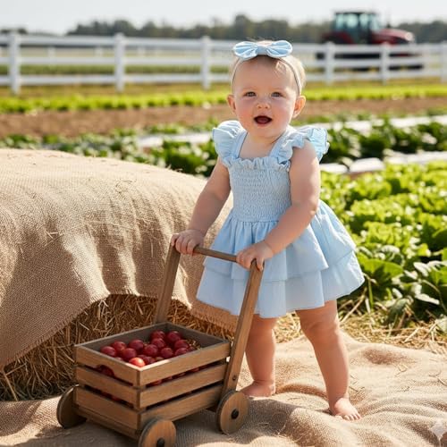 Newborn Baby Girls Summer Clothes Ruffle Sleeveless Pleated Smocked Bubble - Image 3