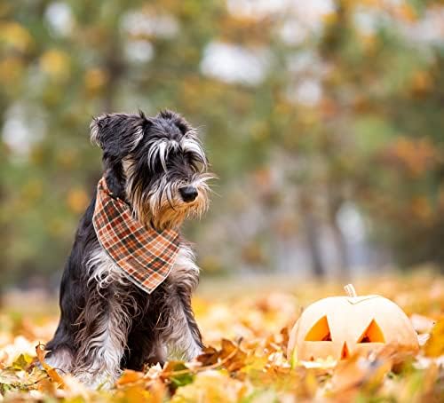 Lionet Paws Halloween Dog Bandana - Image 5