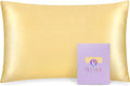 OLESILK 100% Mulberry Silk Toddler Pillowcase for Hair and Skin, Both Sides 19 Momme Pure Natural Silk Travel Pillow Cases with Hidden Zipper, 13"x 18", Gold