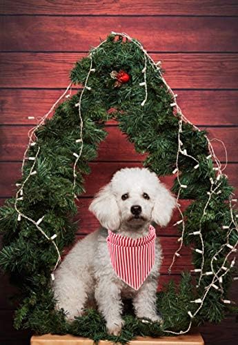 Lionet Paws Dog Bandana for Small Medium Large Dogs, Cat Dogs Kerchief Triangle - Image 5