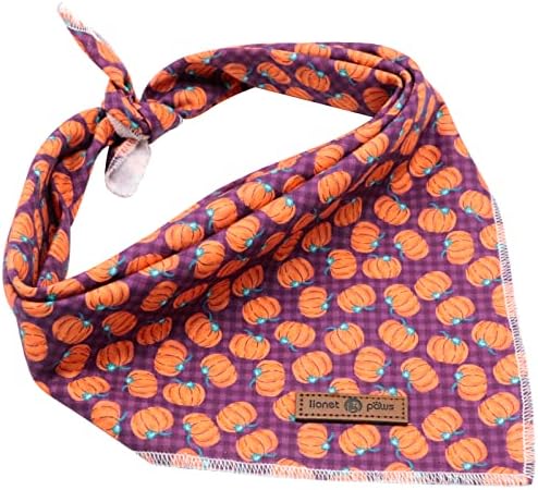Lionet Paws Halloween Dog Bandana - Image 3
