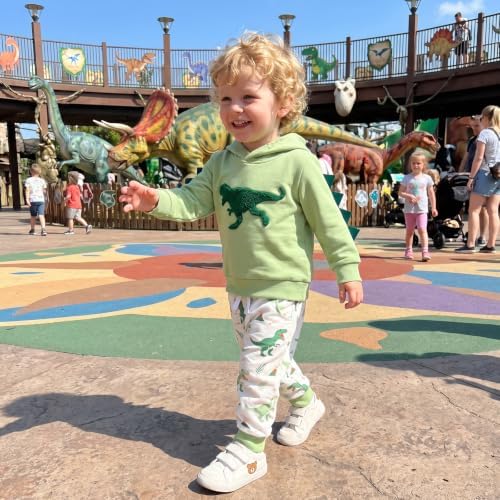 Infant Baby Boy Fall Winter Clothes Outfit Hooded Long Sweatshirt Pant Set - Image 5