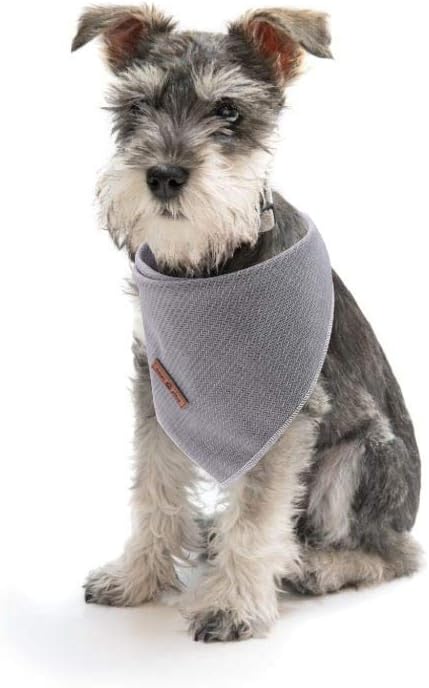 Lionet Paws Dog Bandana for Small Medium Large Dogs, Cat Dogs Kerchief Triangle - Image 4