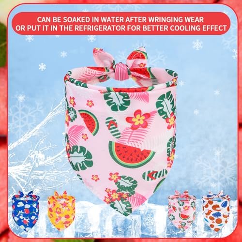 EXPAWLORER Dog Cooling Bandana - Image 2