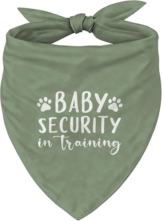 Big Bro Dog Bandana for Small Medium Dogs, Adjustable Pet Kerchief Bib Scarf by Unknown