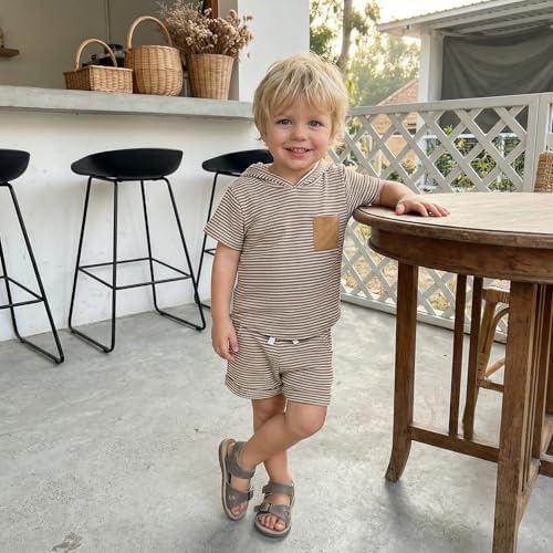 Toddler Baby Boy Hooded Dinosaur Summer Outfit Funny T-Shirt Shorts Set - Image 3