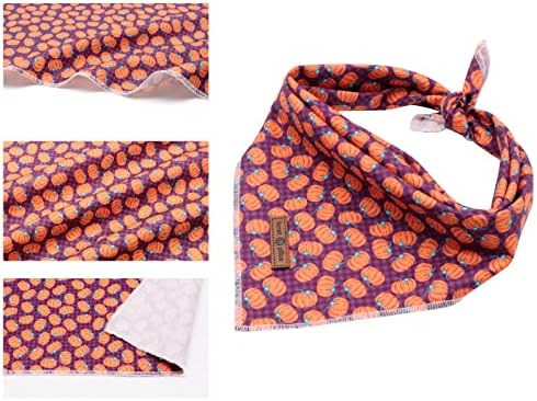 Lionet Paws Halloween Dog Bandana - Image 2