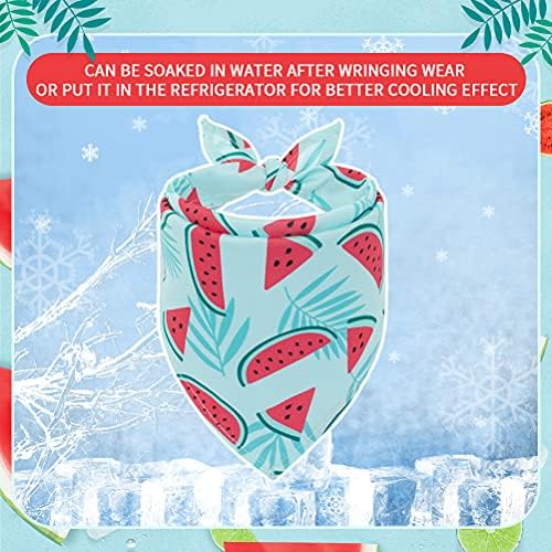 EXPAWLORER Dog Cooling Bandana Set - Image 6