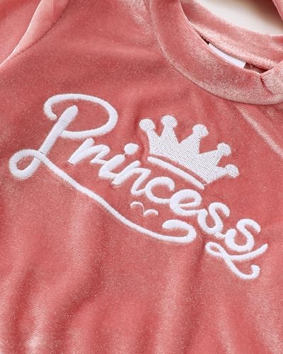 Renotemy Baby Girl Clothes Cute Fall Winter Toddler Girls Outfits 3M-3T - Image 5