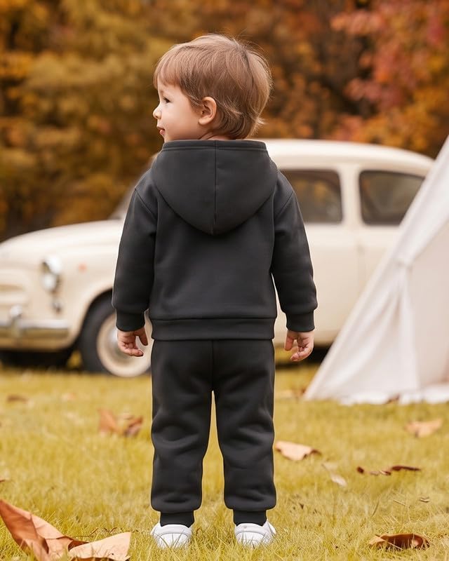 Toddler Baby Boy Fall Clothes Long Sleeve Hoodie Sweatshirts Pants Set Infant - Image 5